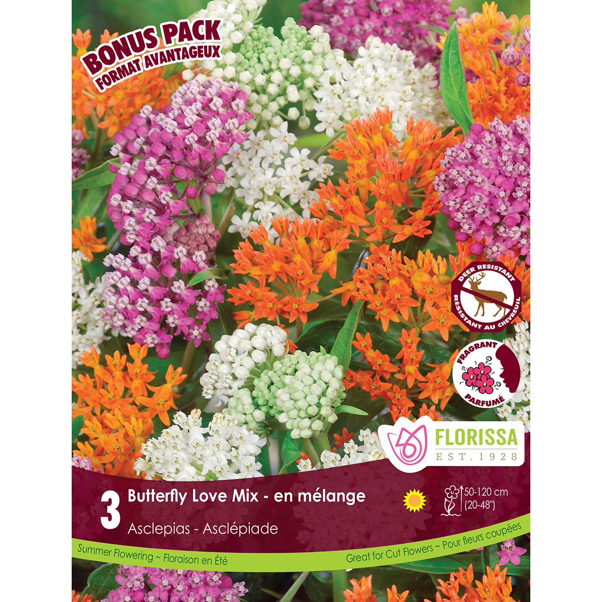 BP Asclepias Buttefly Love Mix.jpg