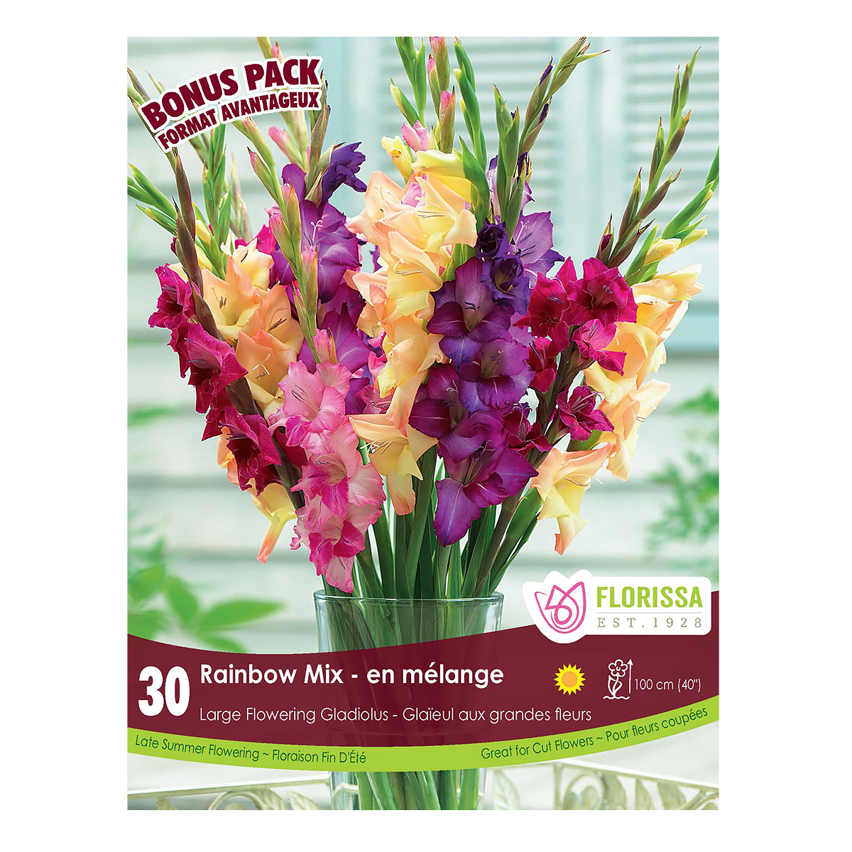 BP_GladiolusRainbowMix.jpg
