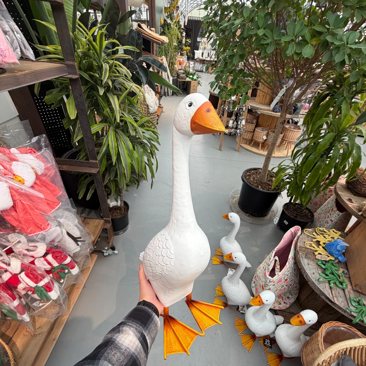 Big_goose.jpg