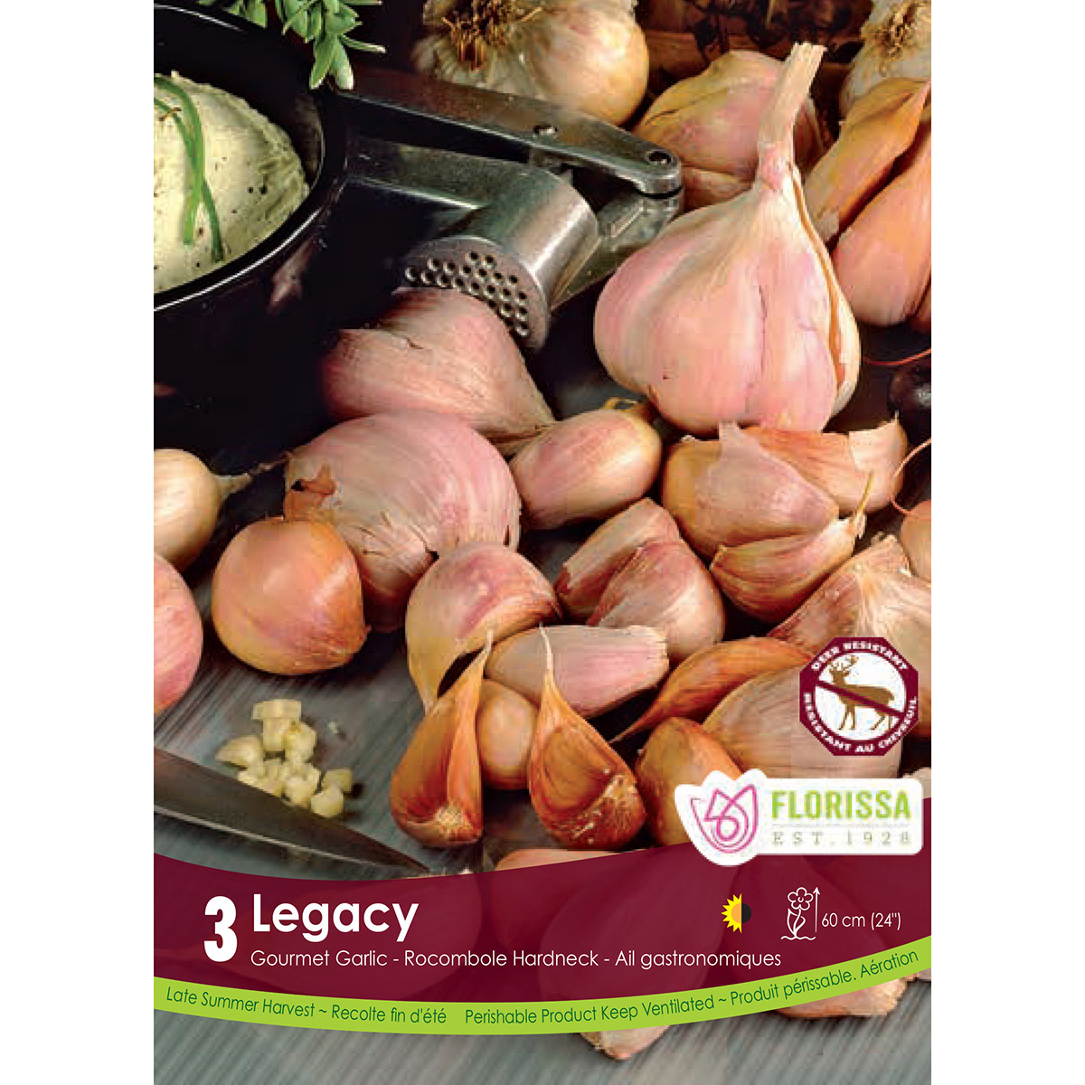 Bulb_Garlic_Legacy.jpg