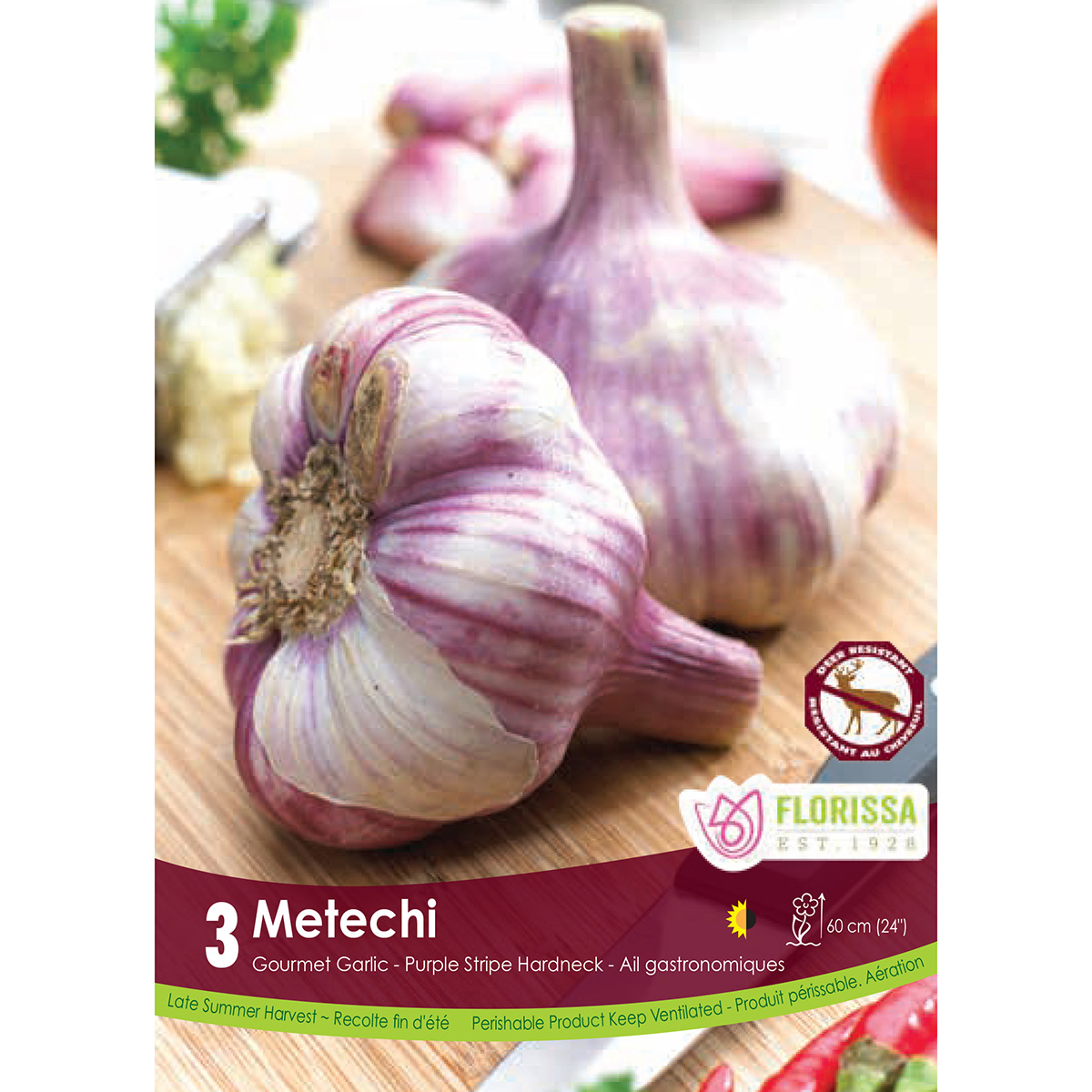 Bulb_Garlic_Metechi.jpg