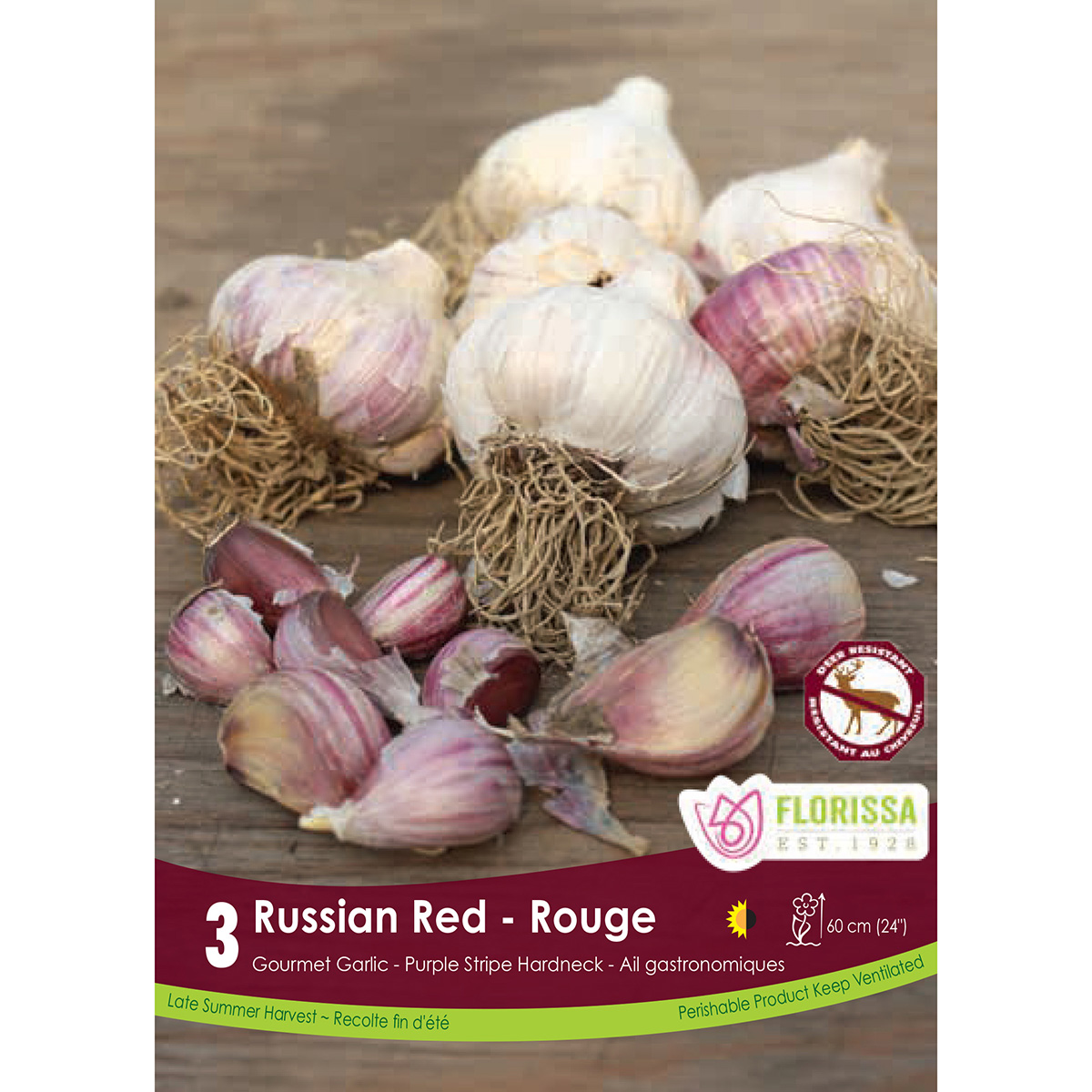 Bulb_Garlic_Russian_Red.jpg