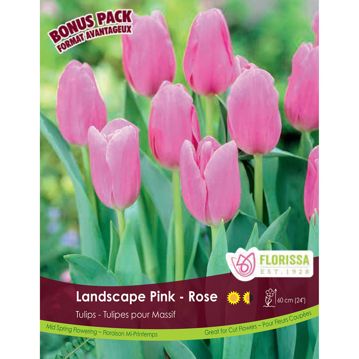 Bulb_Tulip_Landscape_Pink.jpg