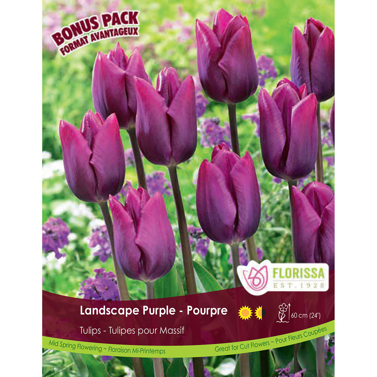 Bulb_Tulip_Landscape_Purple.jpg