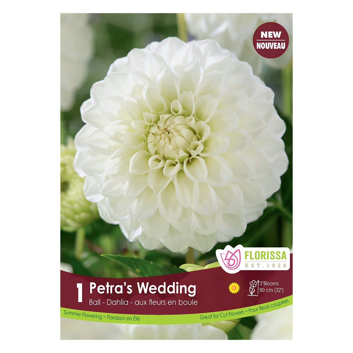 Dahlia_PetrasWedding.jpg
