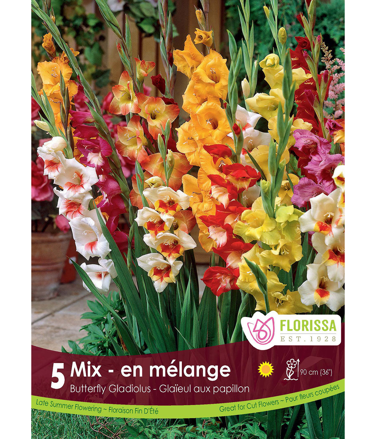 Gladiolus_Butterfly_Mix_vnb.jpg