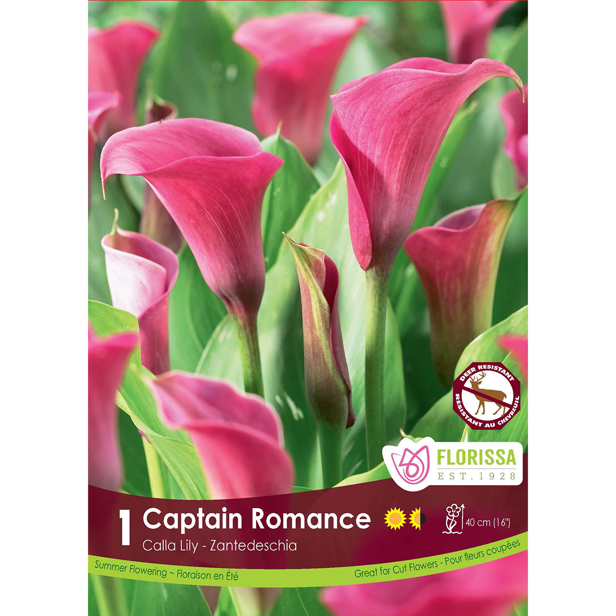 LGKep Calla Captain Romance.jpg