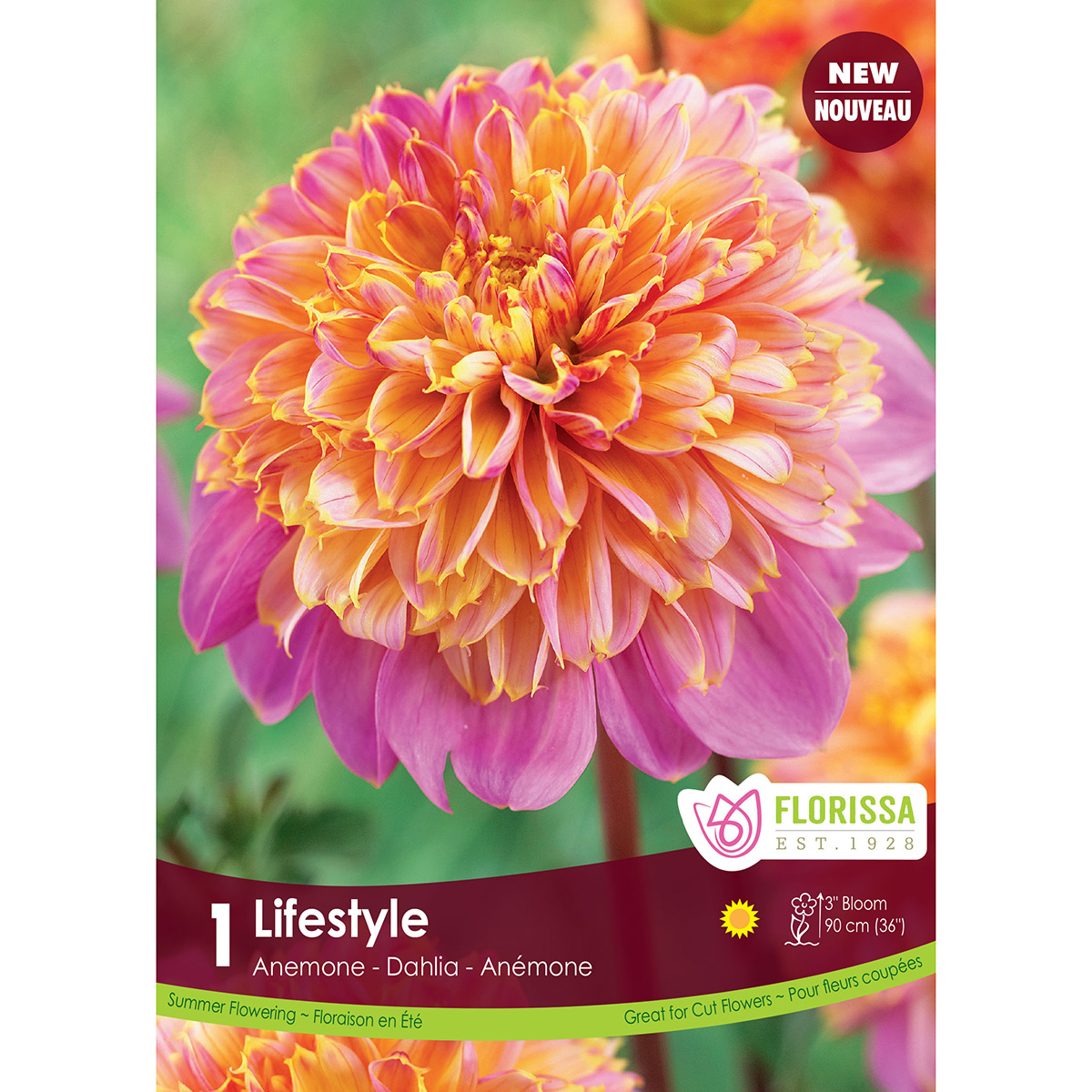 LGKep Dahlia Lifestyle.jpg