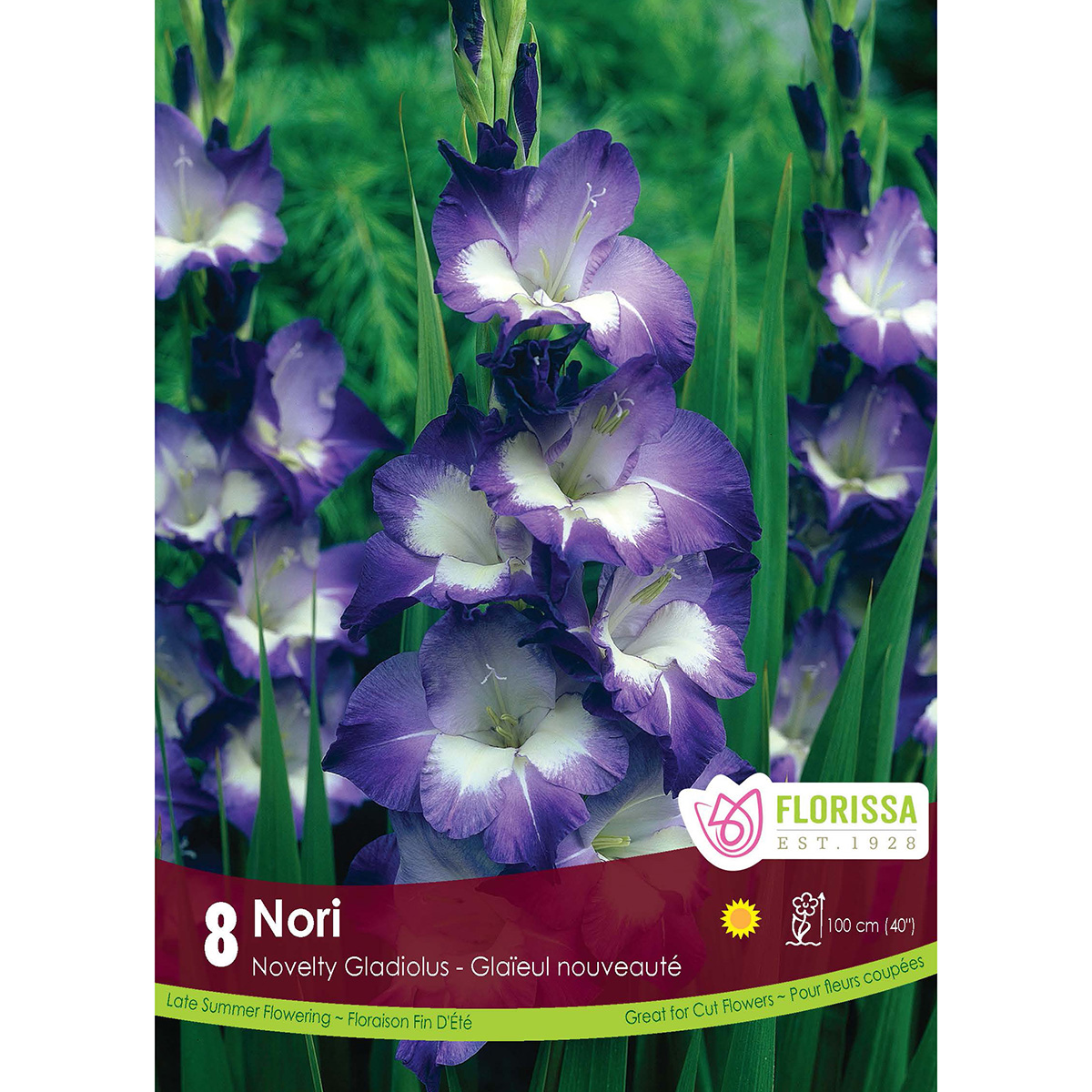 LGKep Gladiolus Nori.jpg