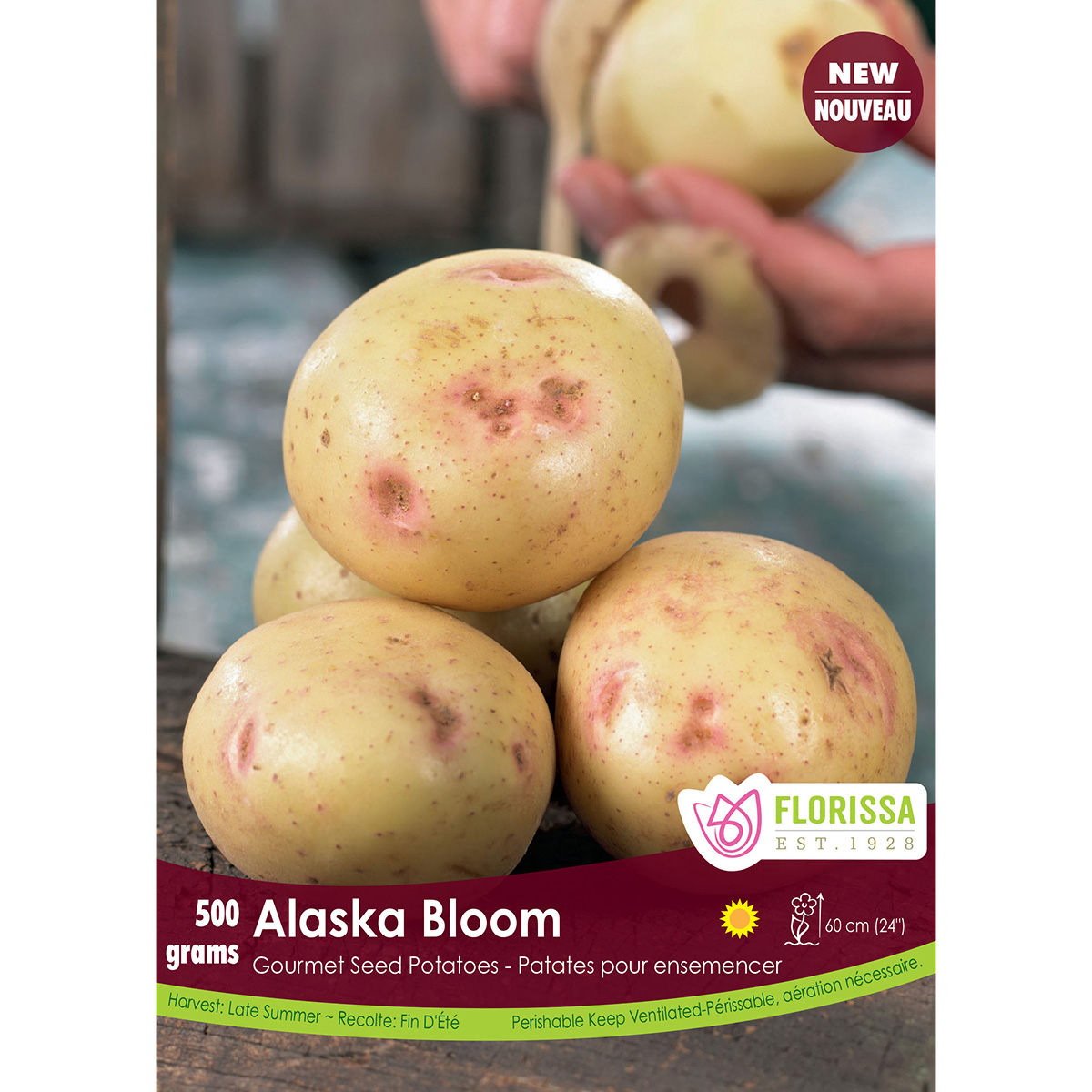 LGKep Potato Alaska Bloom.jpg
