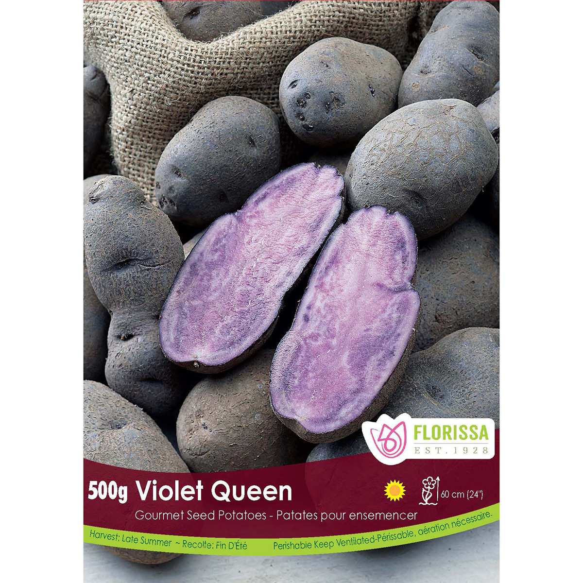 LGKep Potato Violet Queen.jpg