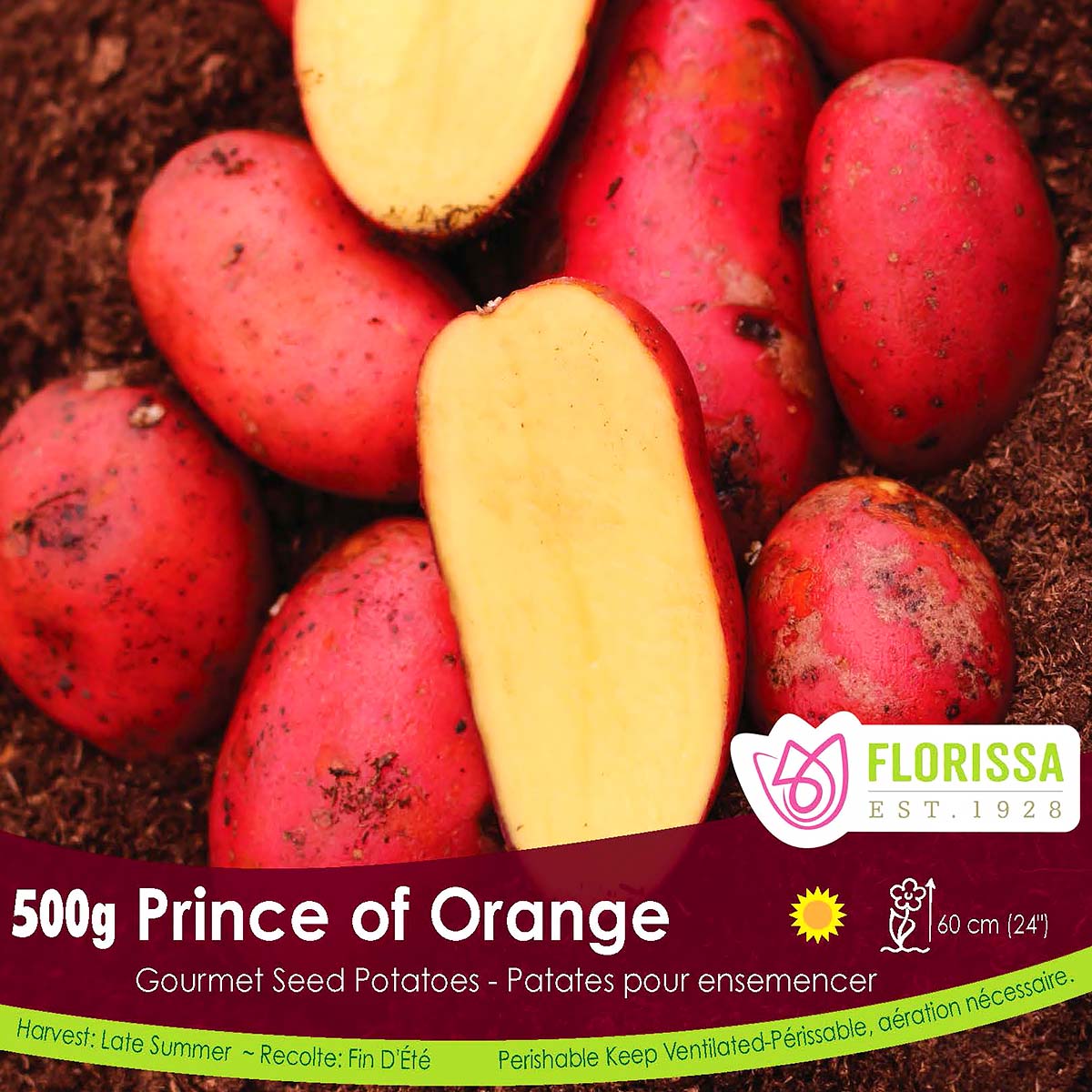 LGKep_Potato_Prince_of_Orange.jpg
