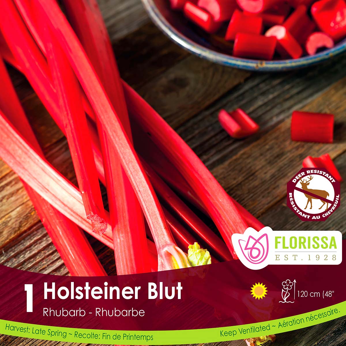 LGKep_Rhubarb_Holsteiner_Blut.jpg