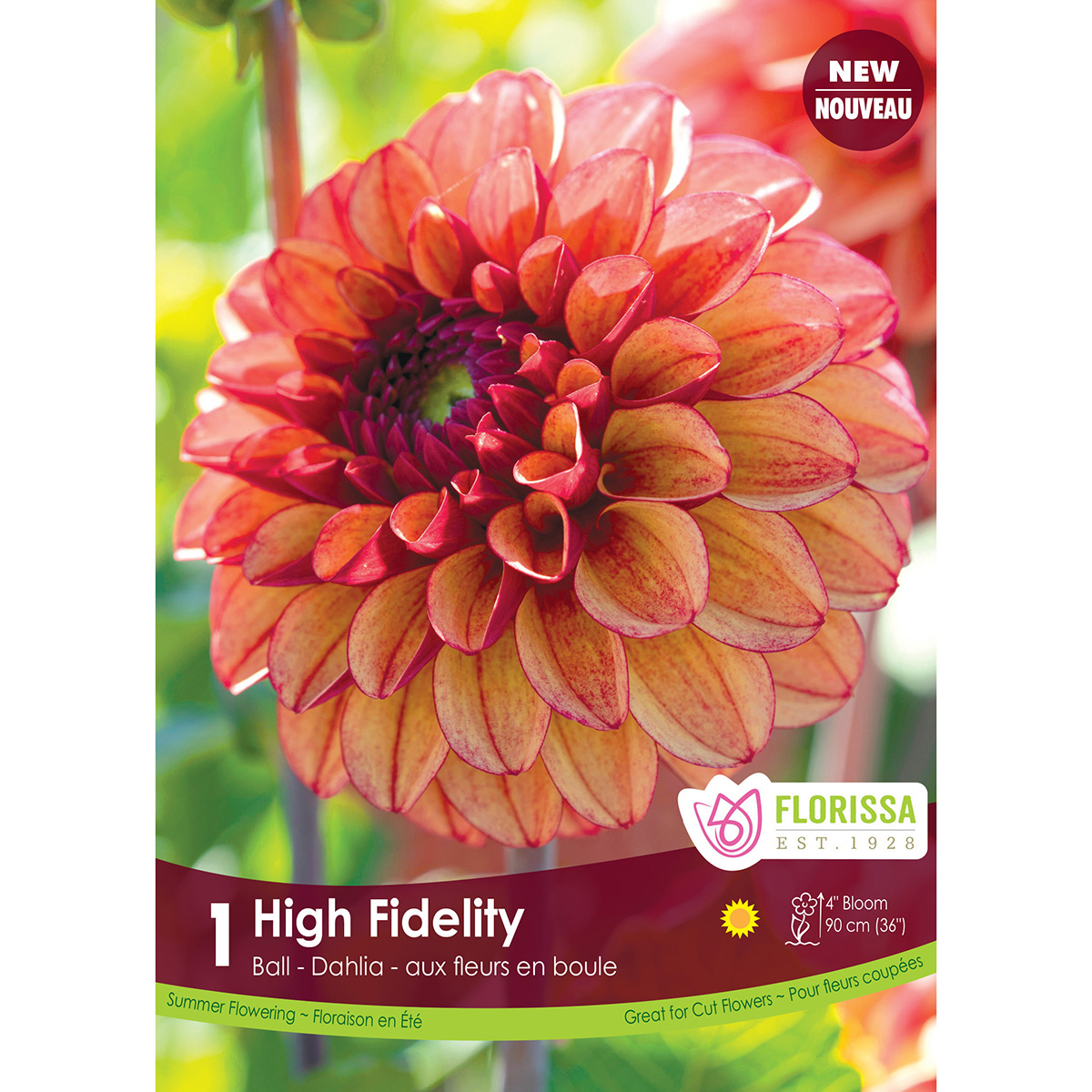 LgKep Dahlia High Fidelity.jpg