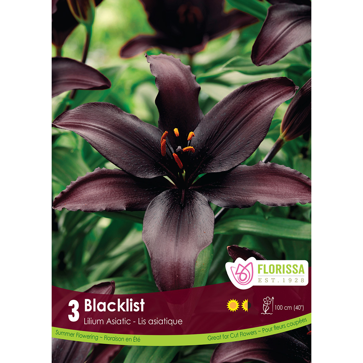 LgKep Lily Blacklist.jpg