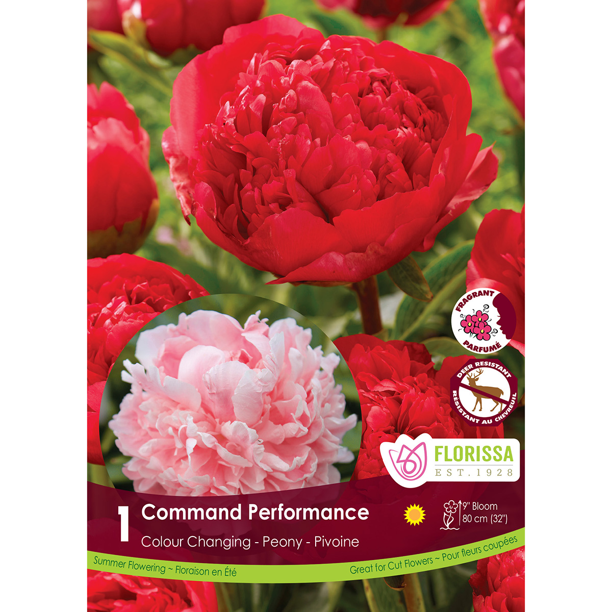 LgKep Peony Command Performance.jpg