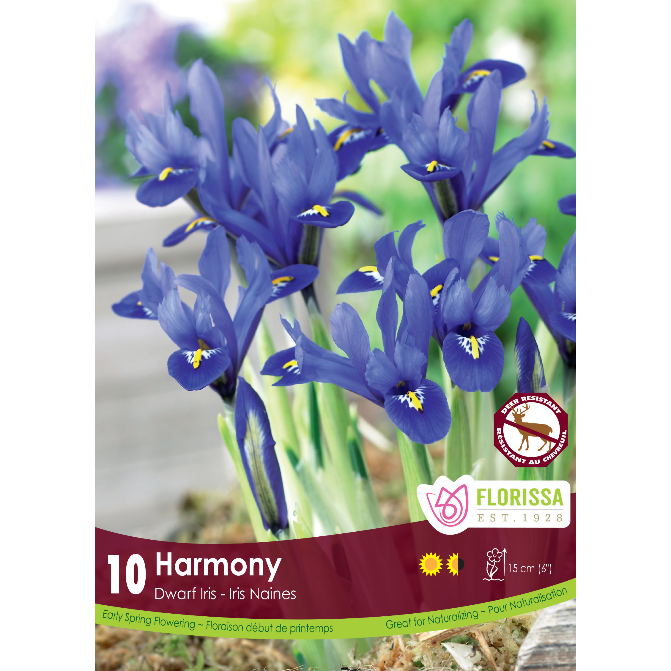 Lg_Kep_Iris_Harmony_fall.jpg