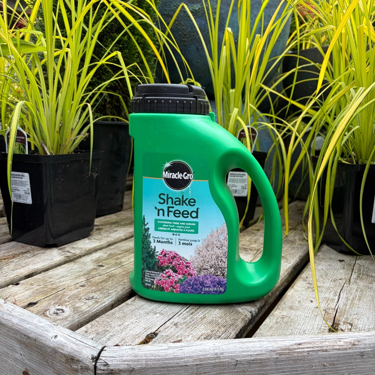 MiracleGro_Shake_n_Feed_Front_1200x1200.jpg