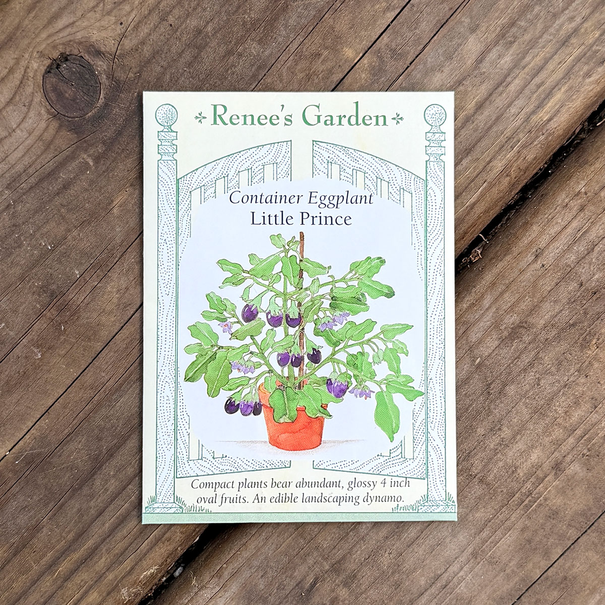 Renees_EggPlant_LittlePrince.jpg