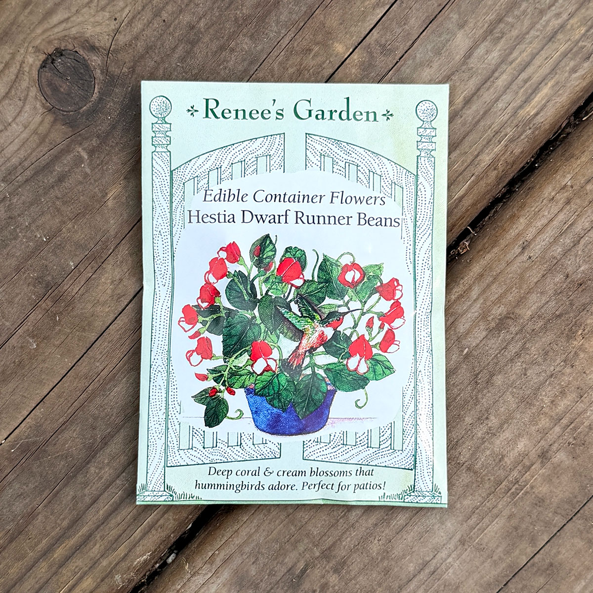 Renees_Hestia_DrawrfRunnerBeans.jpg