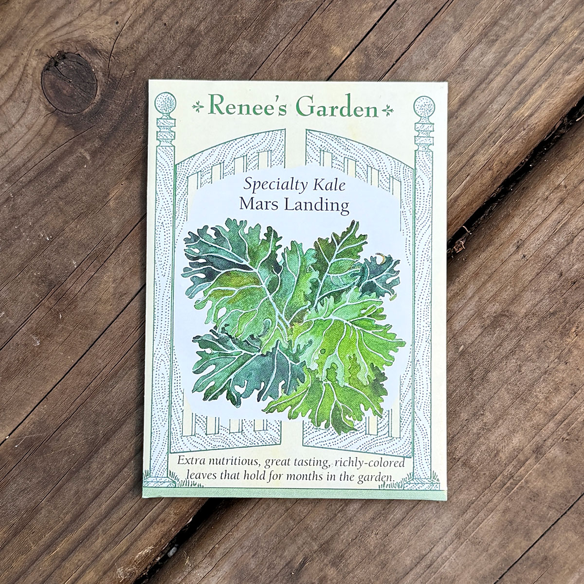 Renees_Kale_MarsLanding.jpg