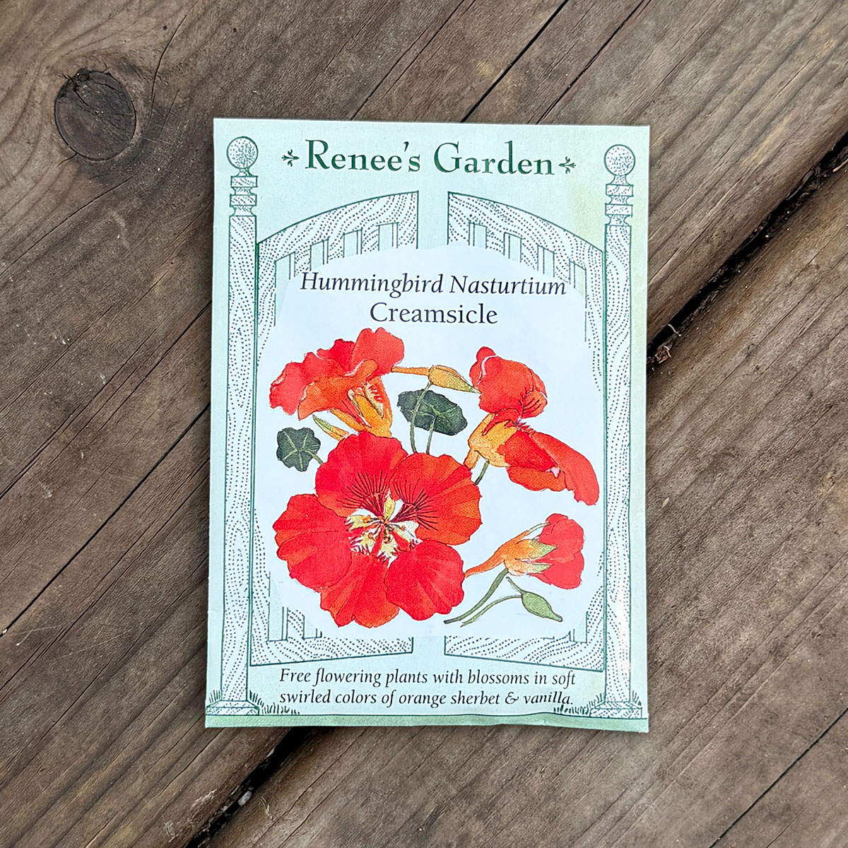 Renees_Nasturium_Creamsicle.jpg