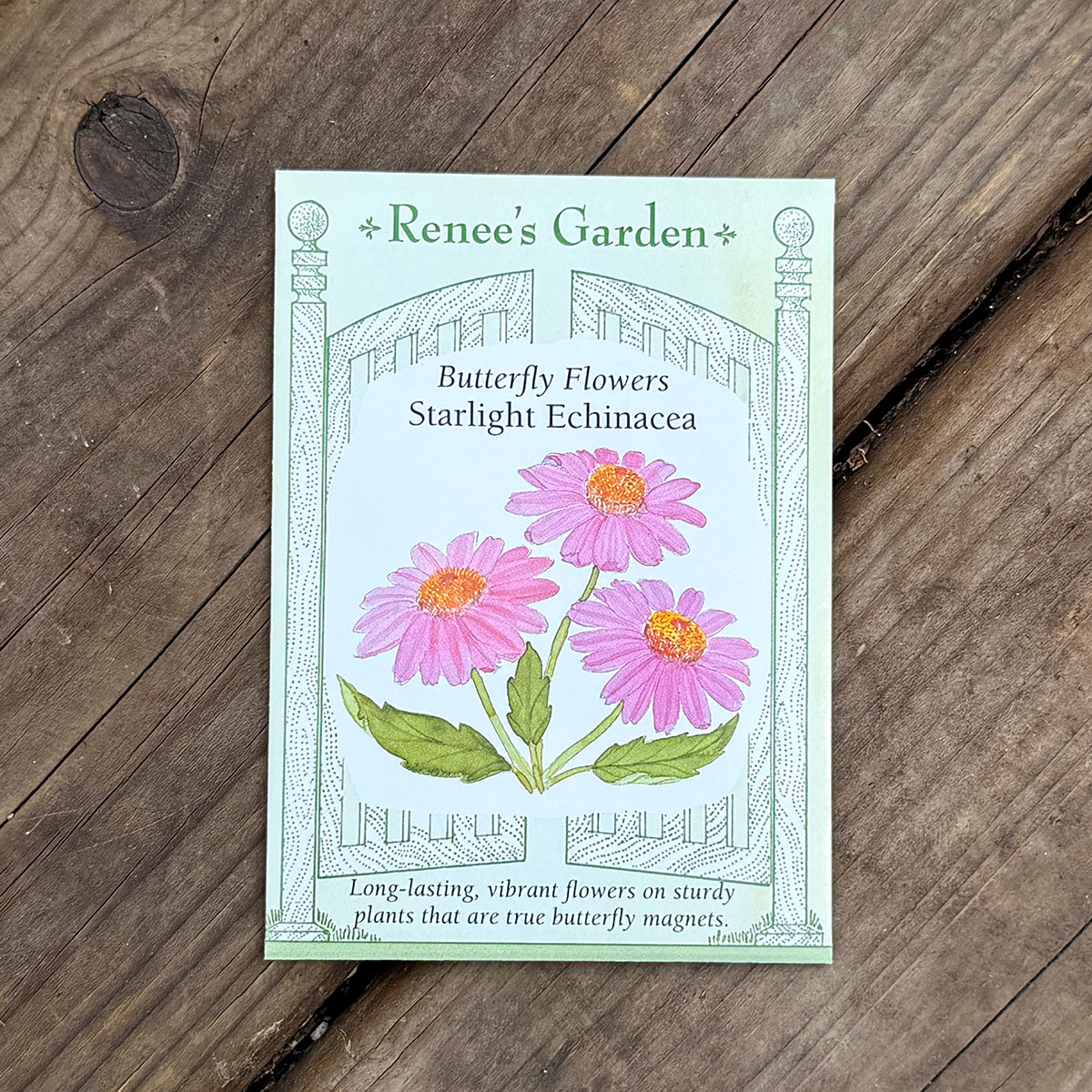 Renees_StarlightEchinacea.jpg