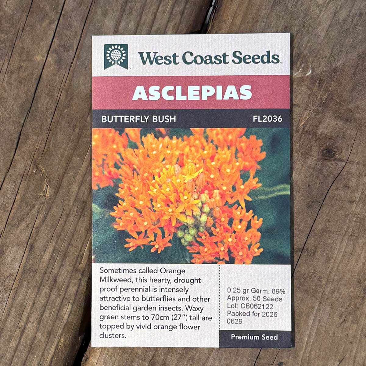 WCS_Asclepias.jpg