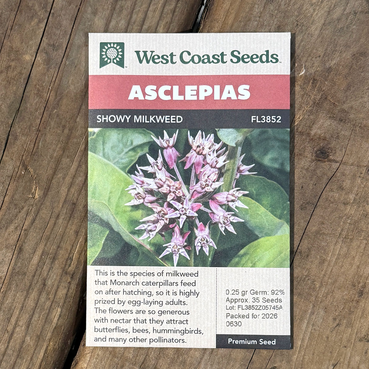 WCS_Asclepias_ShowyMilkweed.jpg