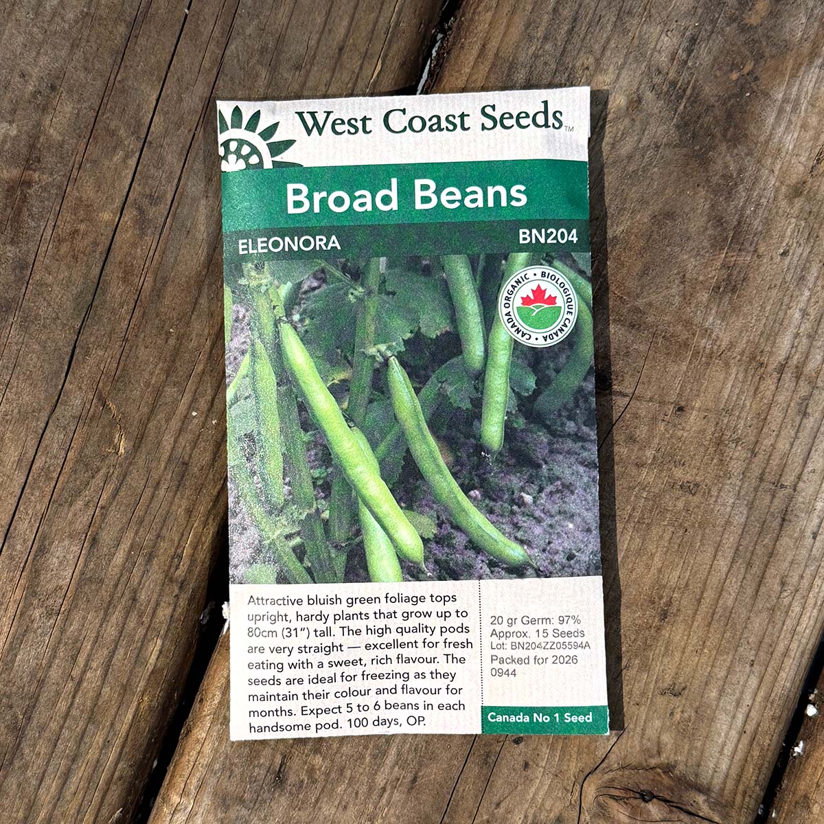 WCS_BroadBeans_Eleonora.jpg