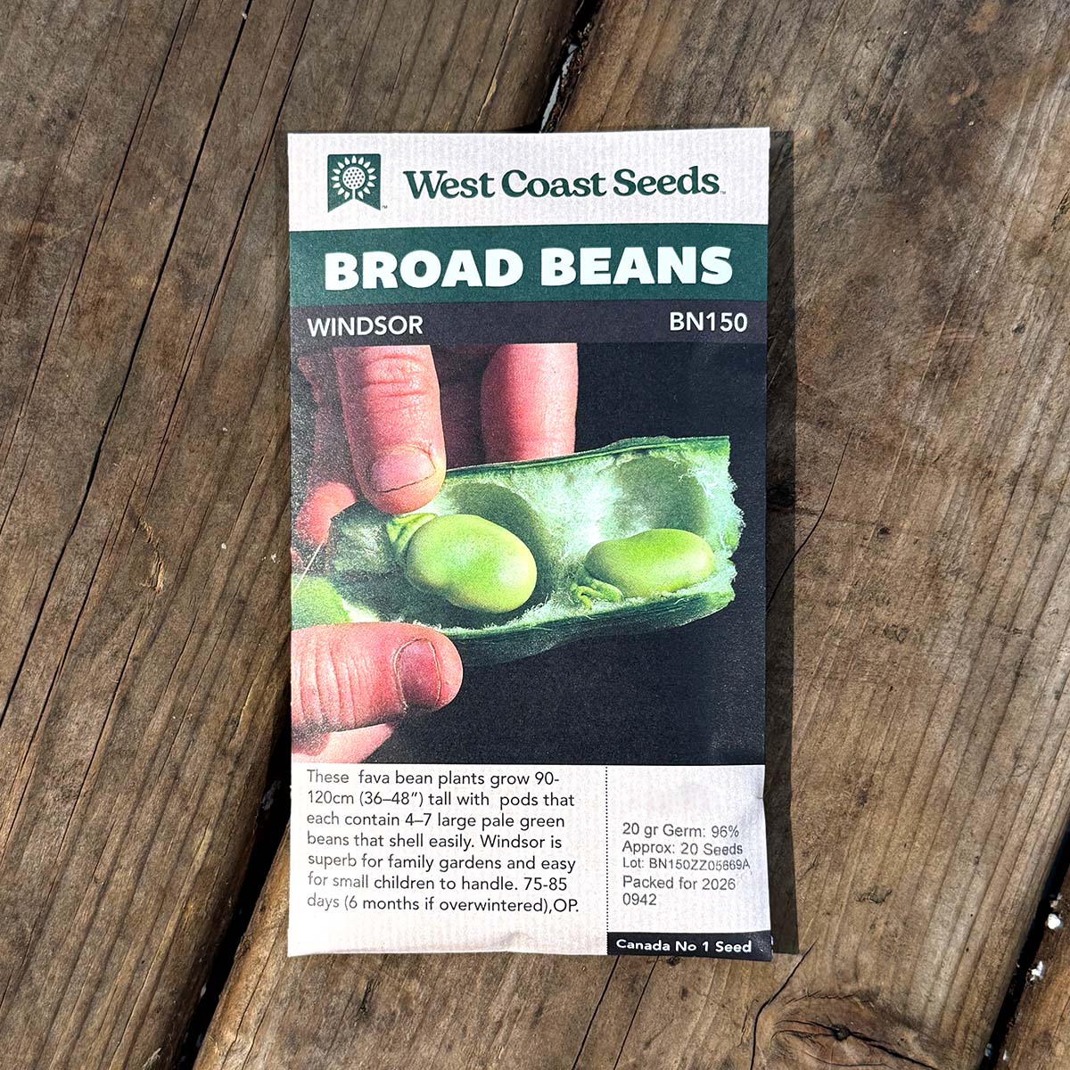 WCS_BroadBeans_Windsor.jpg