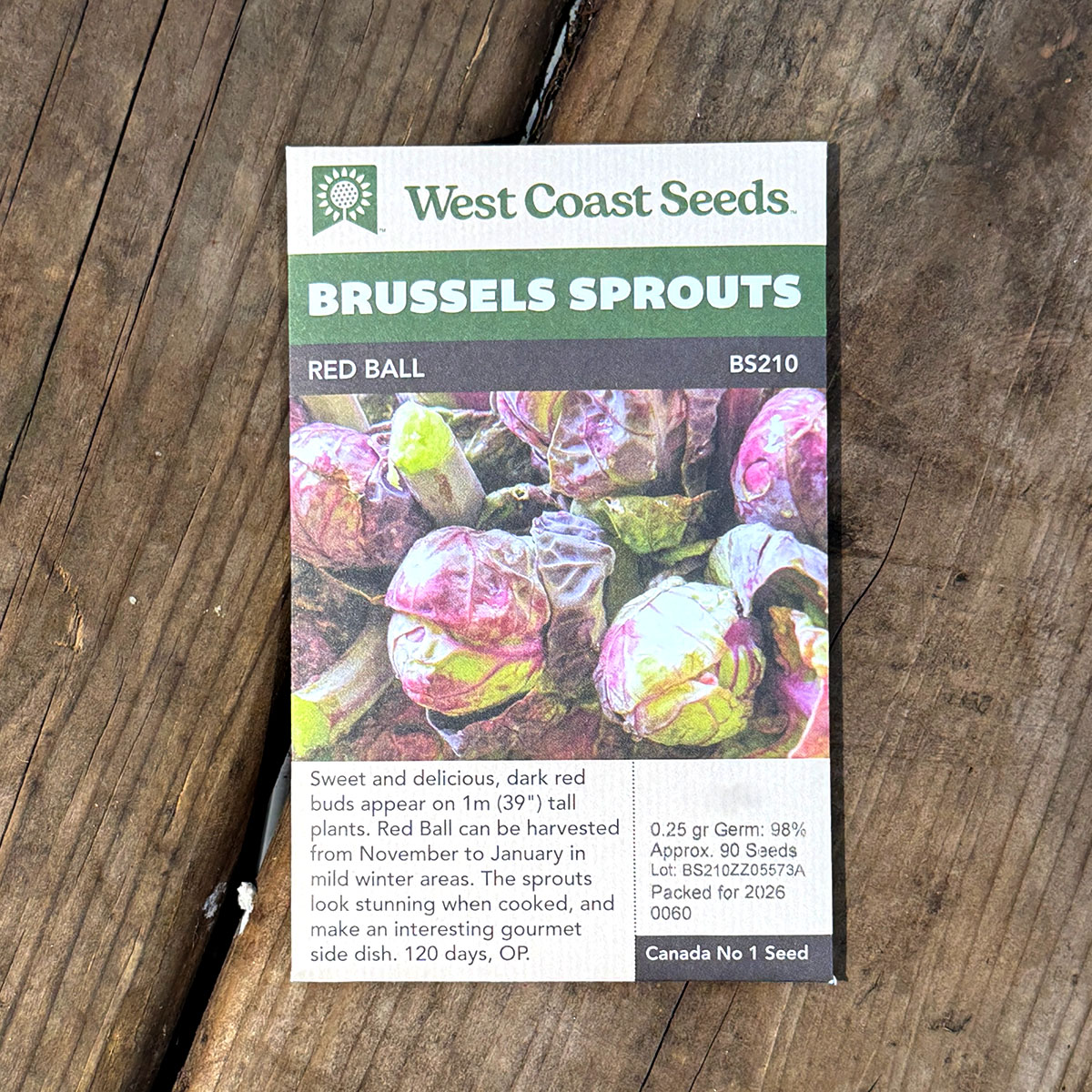 WCS_BrusselSprouts_RedBall.jpg