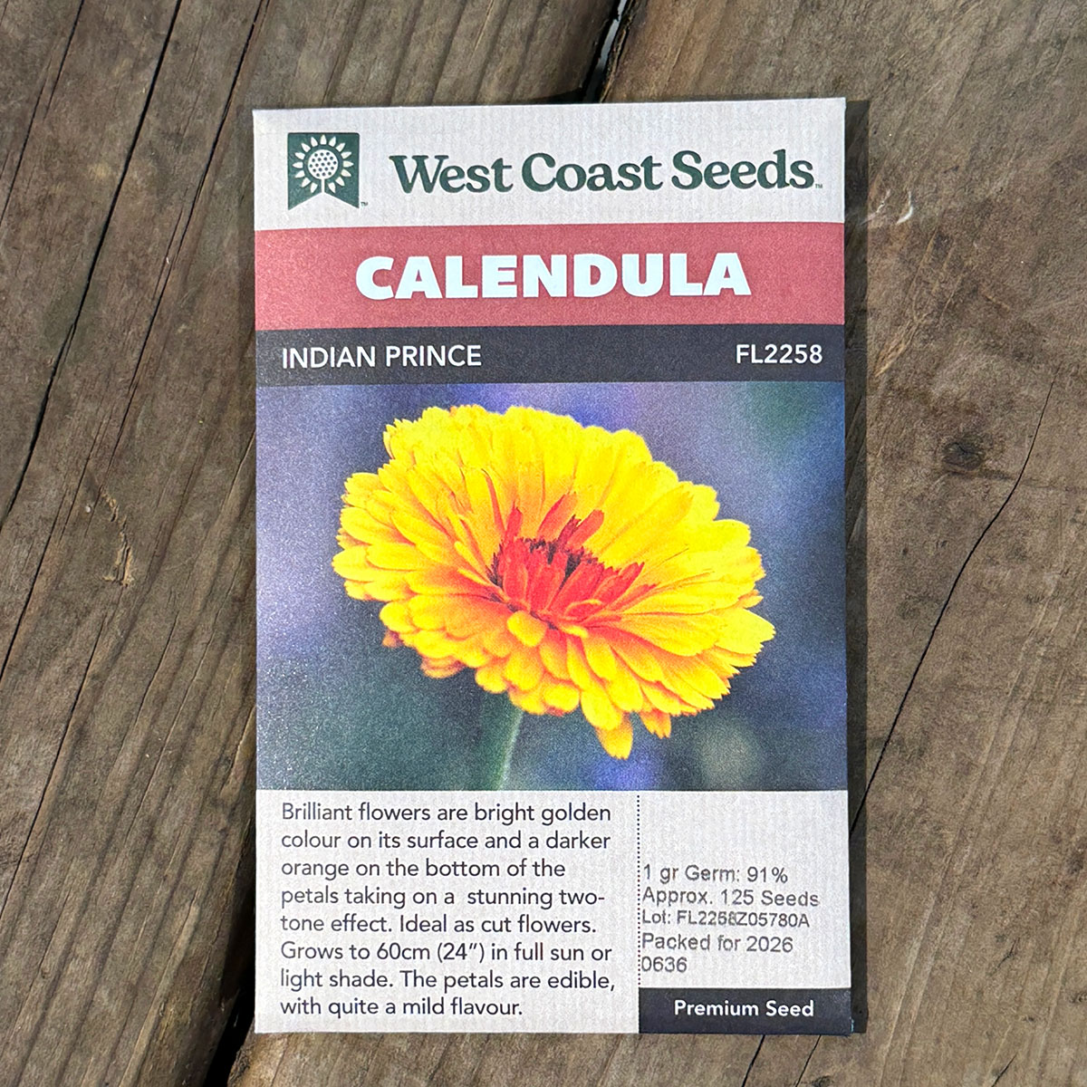 WCS_Calendula_IndianPrince.jpg