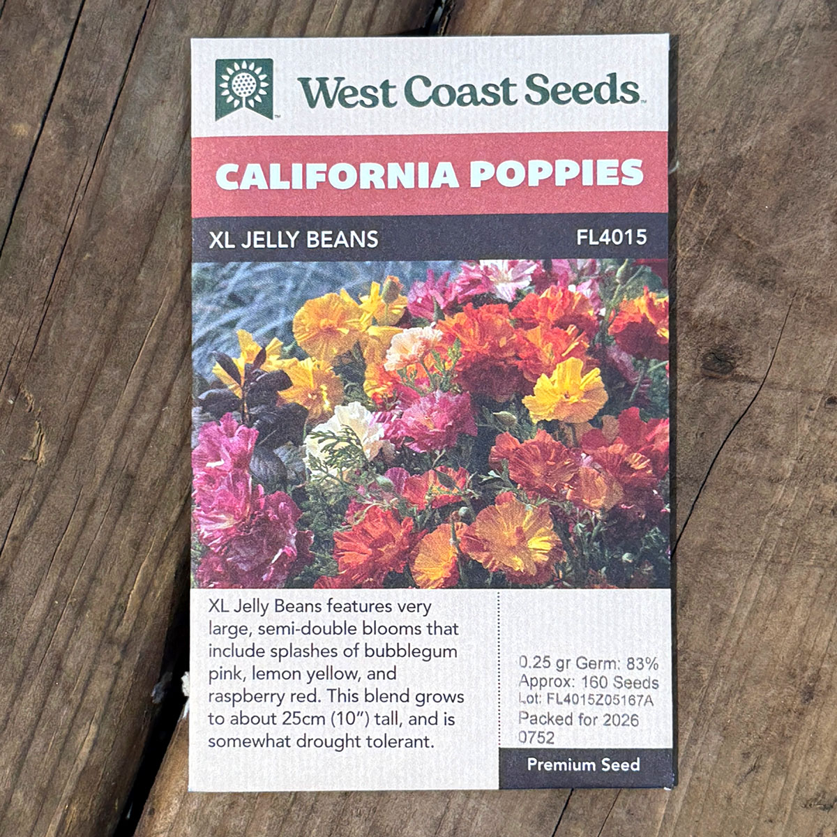 WCS_CaliforniaPoppies_XLJellyBeans.jpg