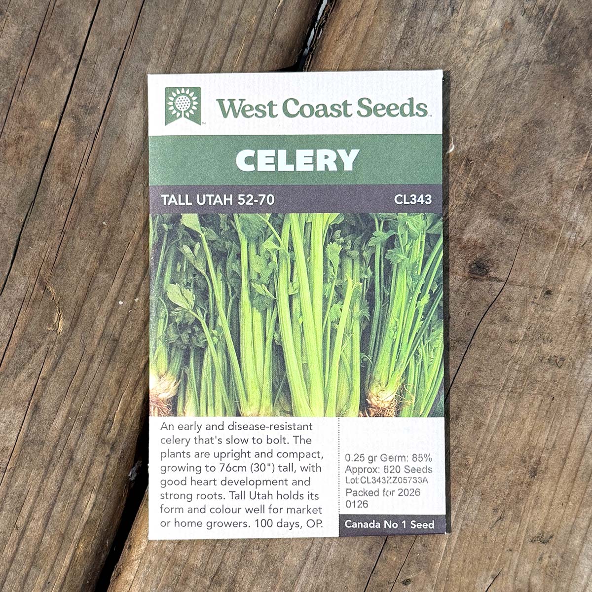 WCS_Celery_TallUtah.jpg
