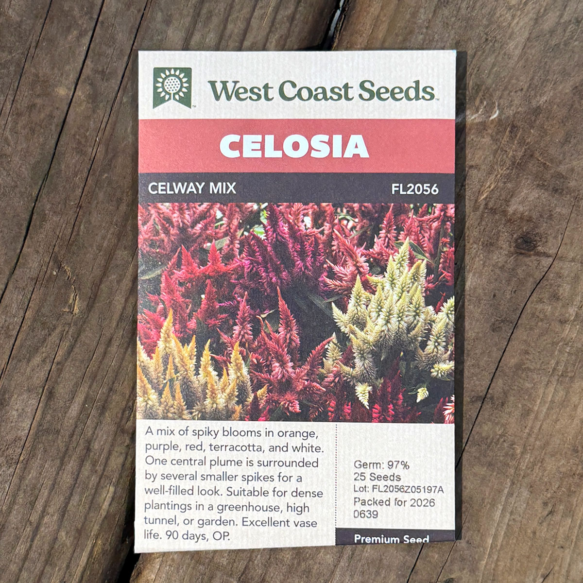 WCS_Celosia_CelwayMix.jpg