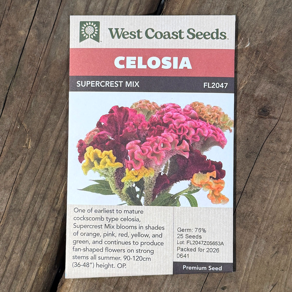 WCS_Celosia_SupercrestMix.jpg
