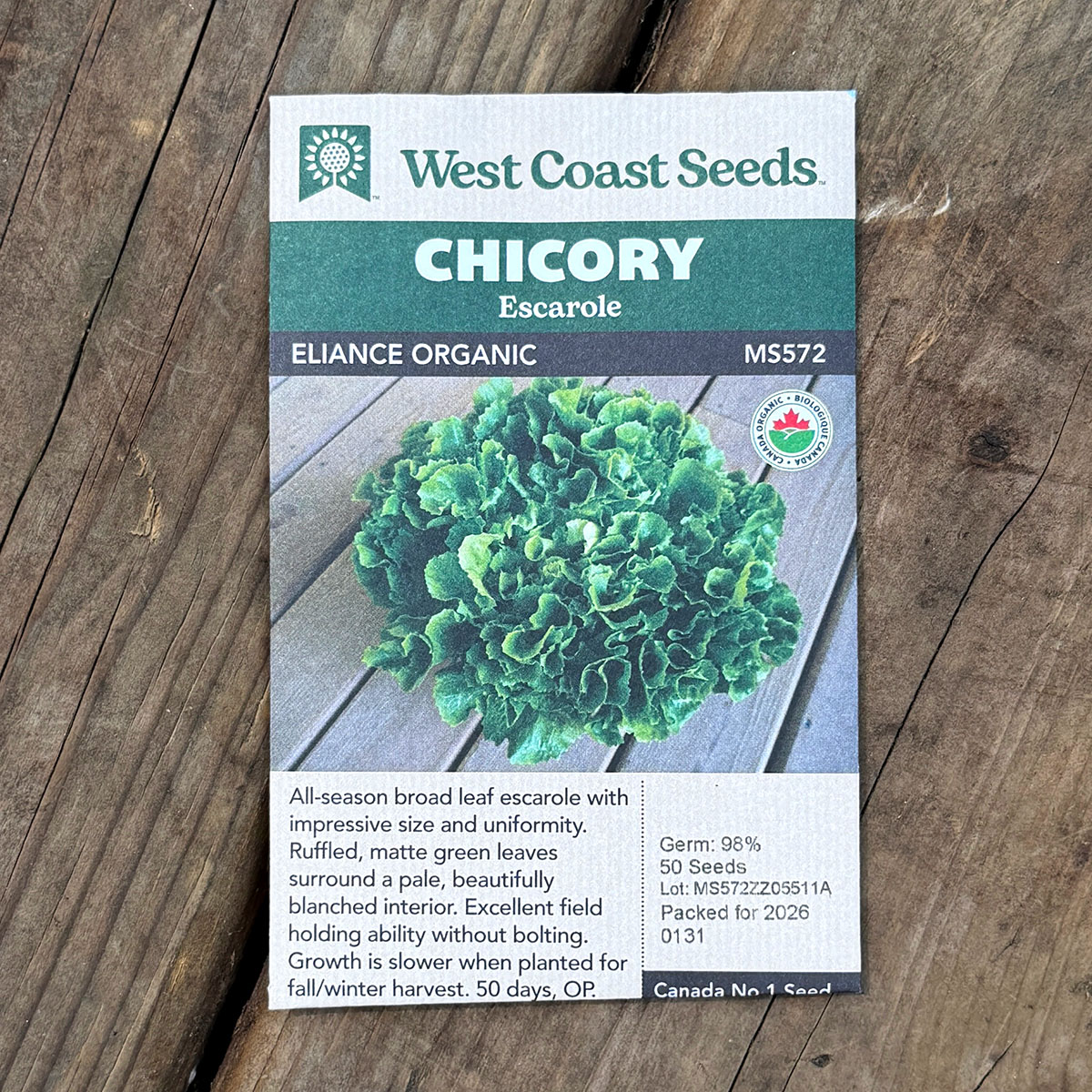 WCS_Chicory_EllianceOrganic.jpg