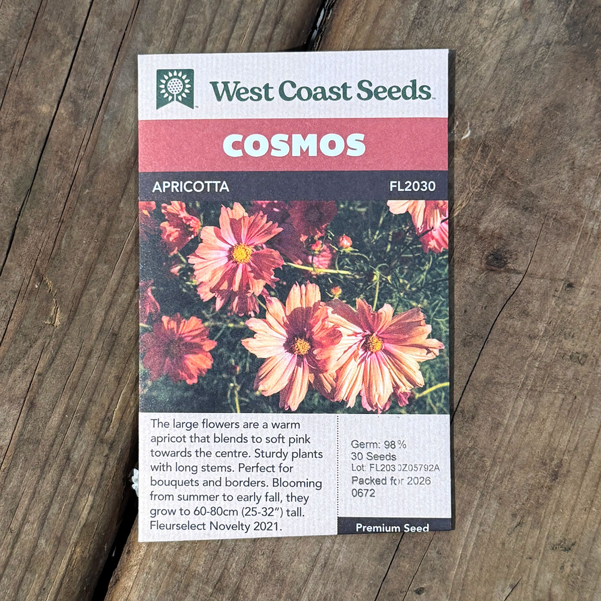 WCS_Cosmos_Apricotta.jpg