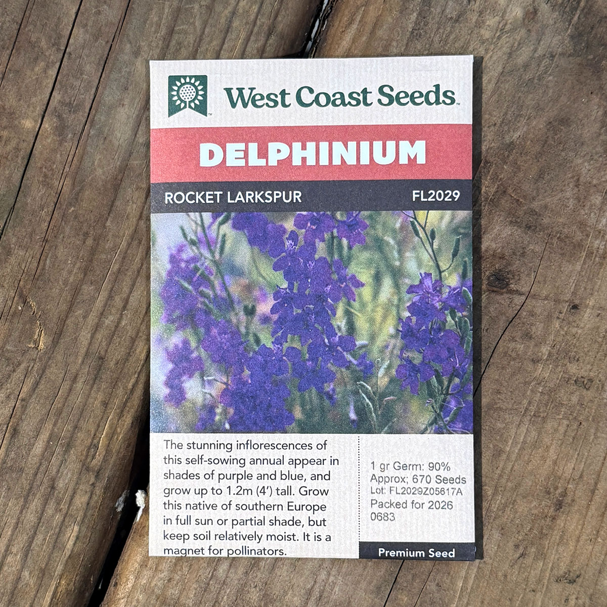 WCS_Delphinium_RocketLarkspur.jpg