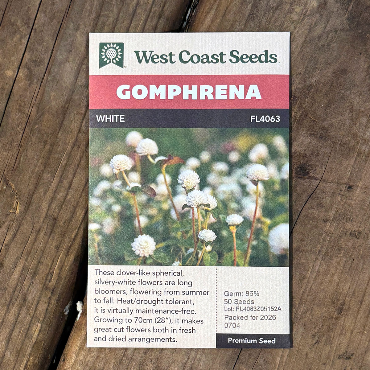 WCS_Gomphrena_White.jpg