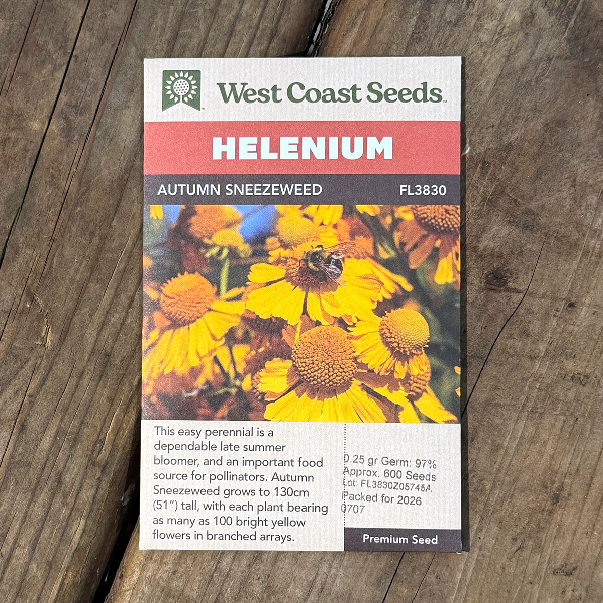 WCS_Helenium_AutumnSneezeweed.jpg