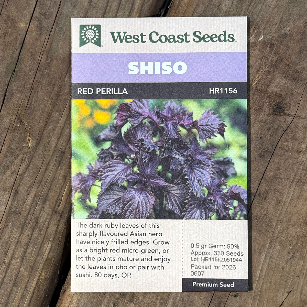 WCS_Herbs_Shiso_RedPerilla.jpg