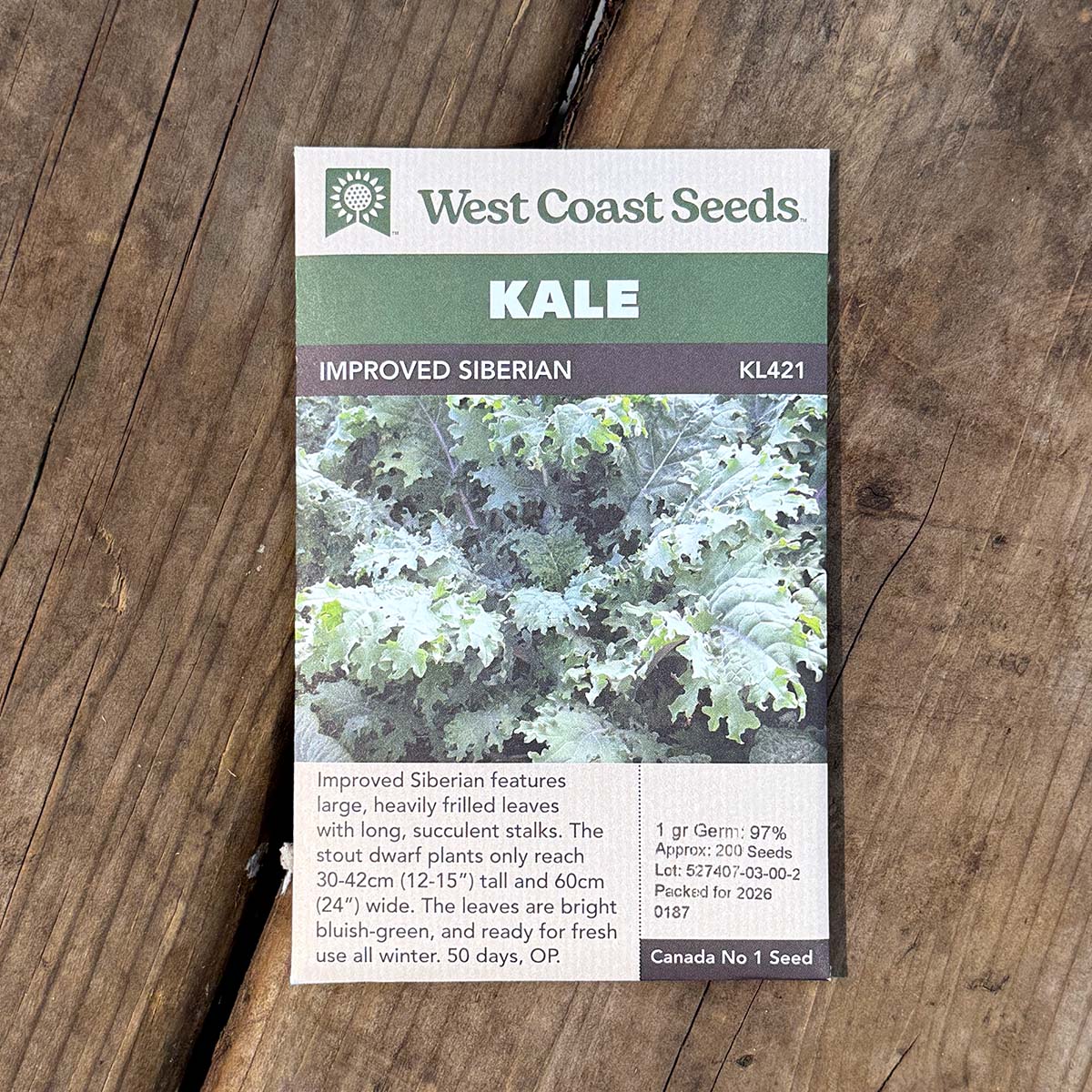 WCS_Kale_ImprovedSiberian.jpg
