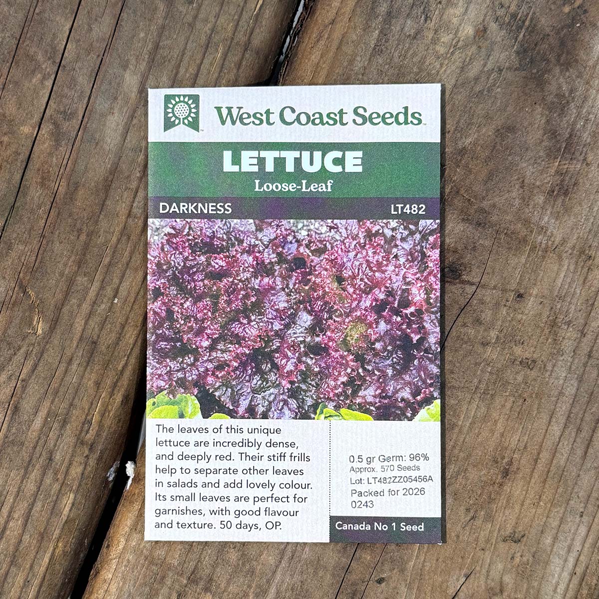 WCS_Lettuce_Darkness.jpg