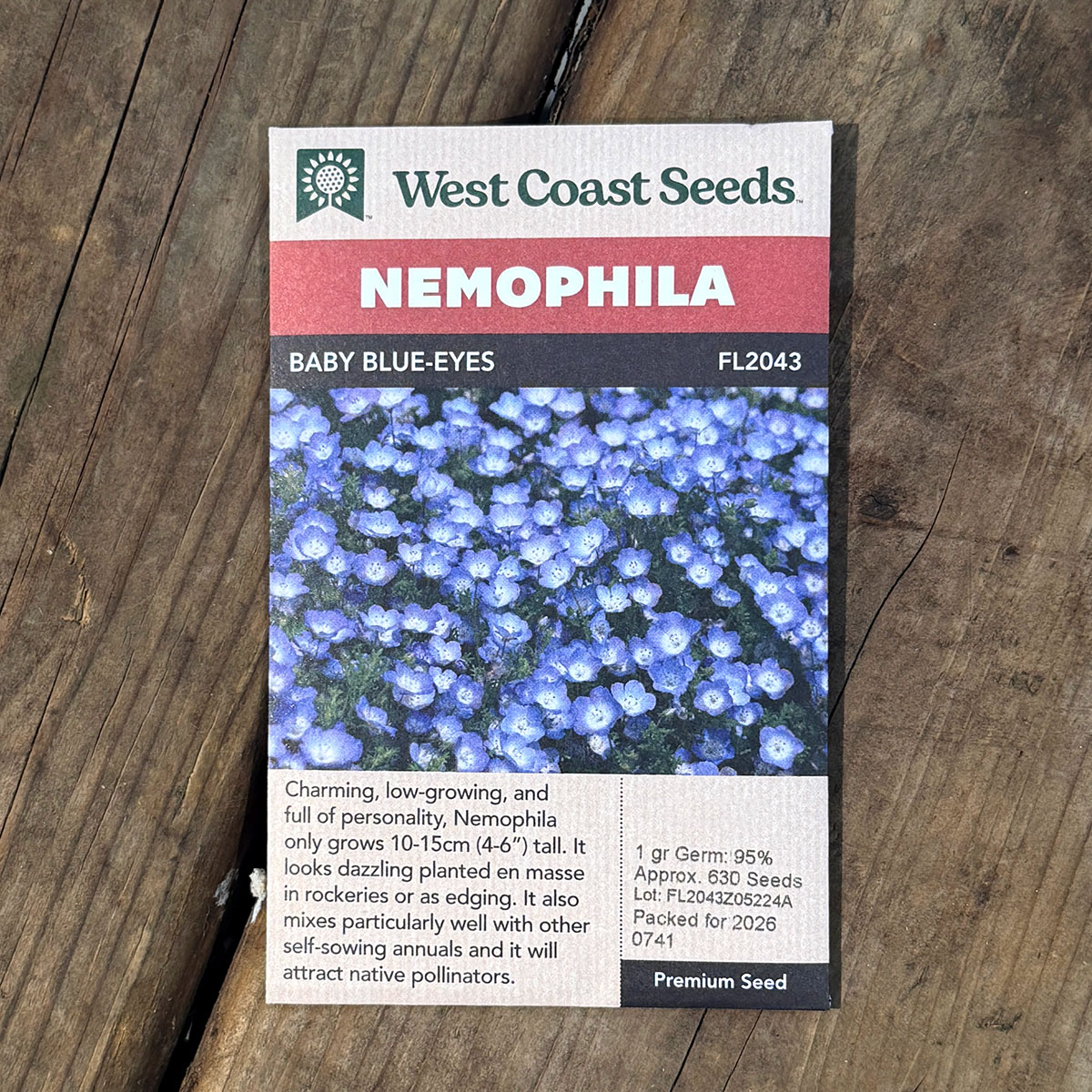 WCS_Nemophila_BabyBlueEyes.jpg