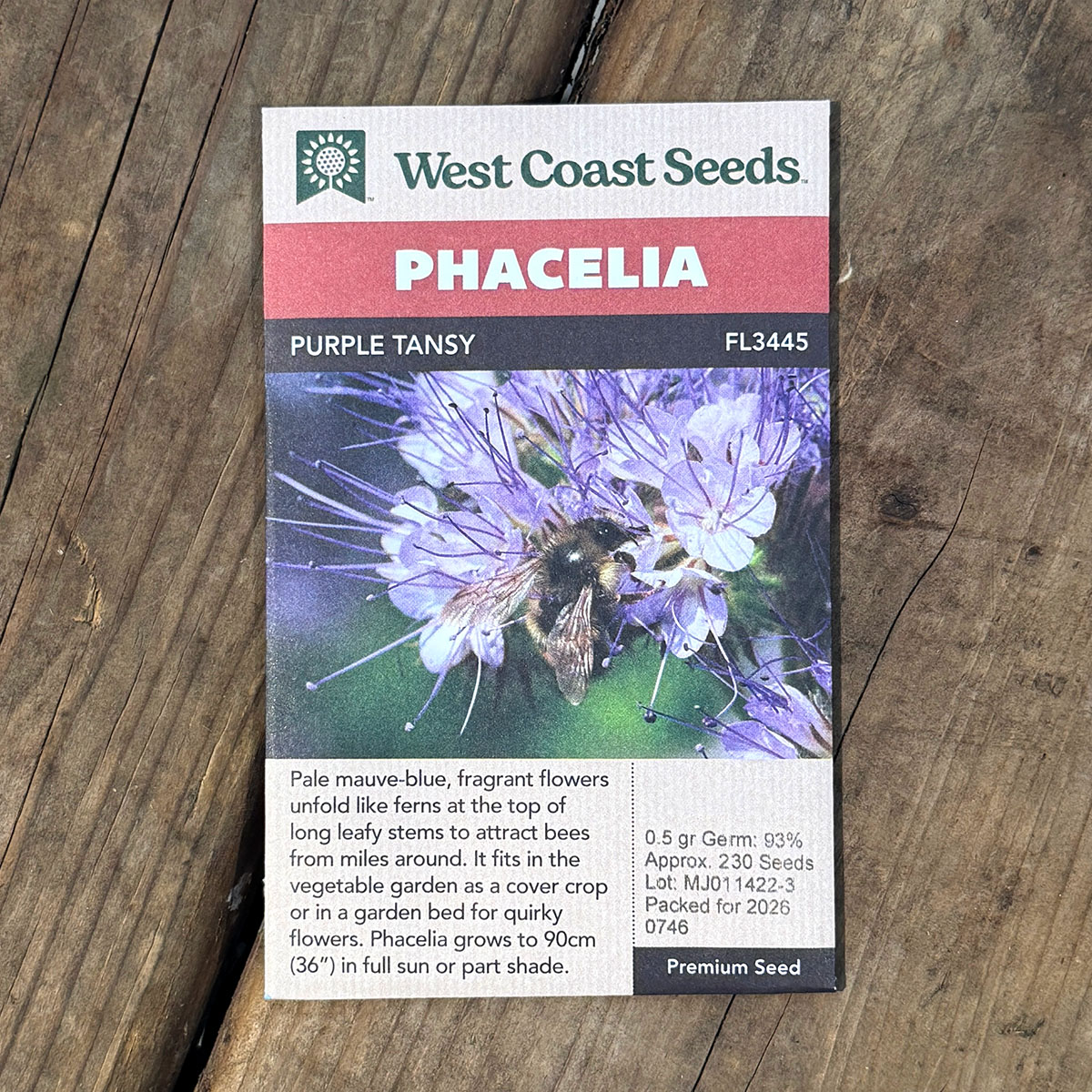 WCS_Phacelia_PurpleTansy.jpg