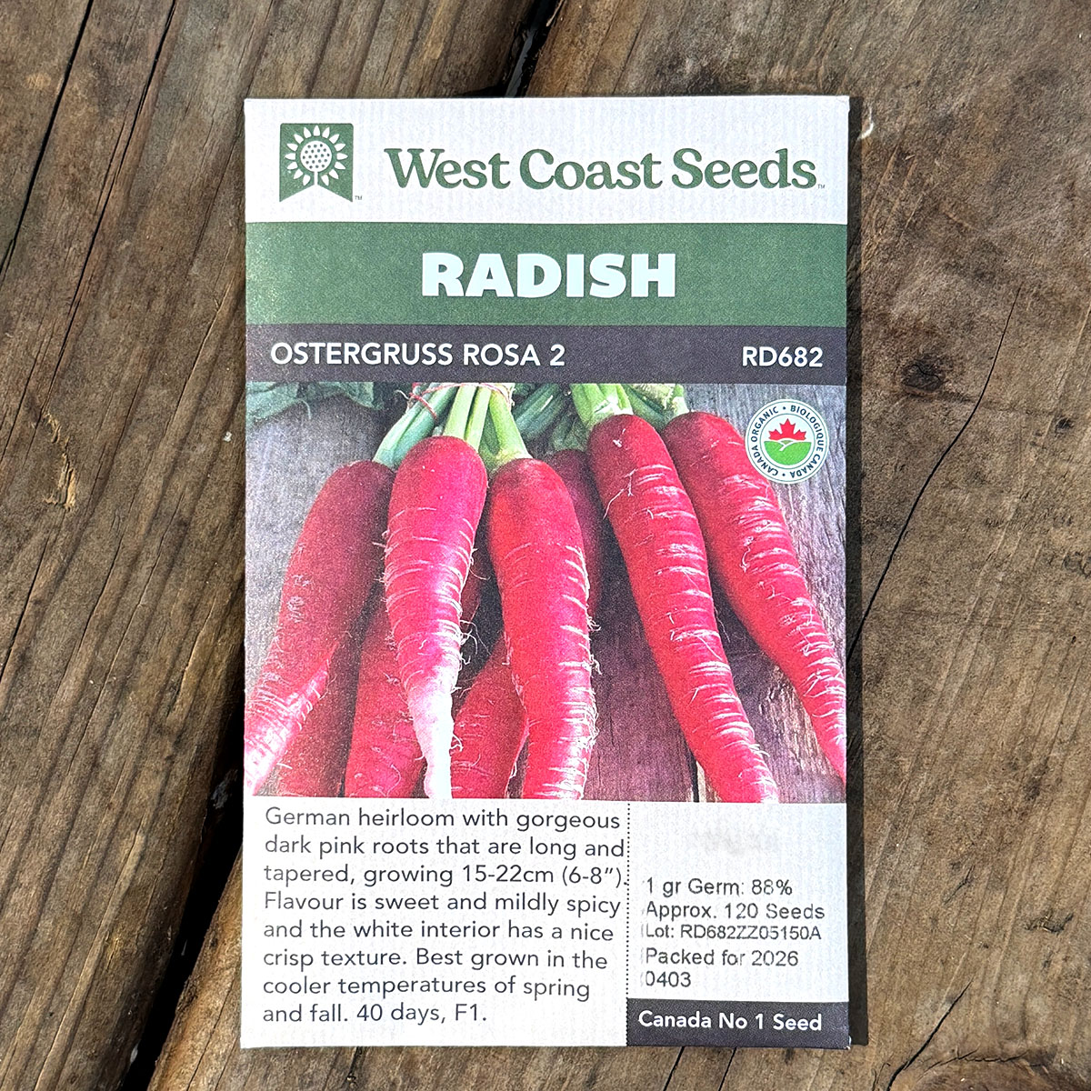 WCS_Radish_OstergussRosa2.jpg