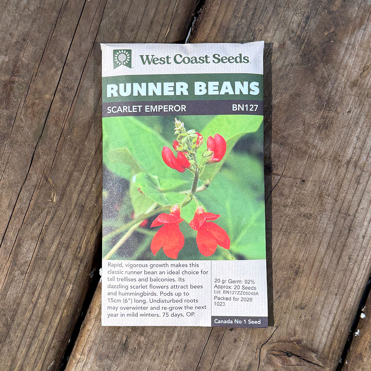 WCS_RunnerBeans_ScarletEmperor.jpg