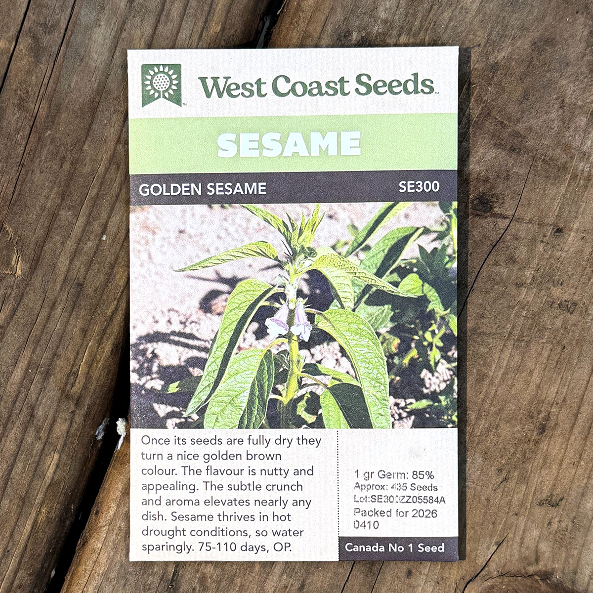 WCS_Sesame_Golden.jpg